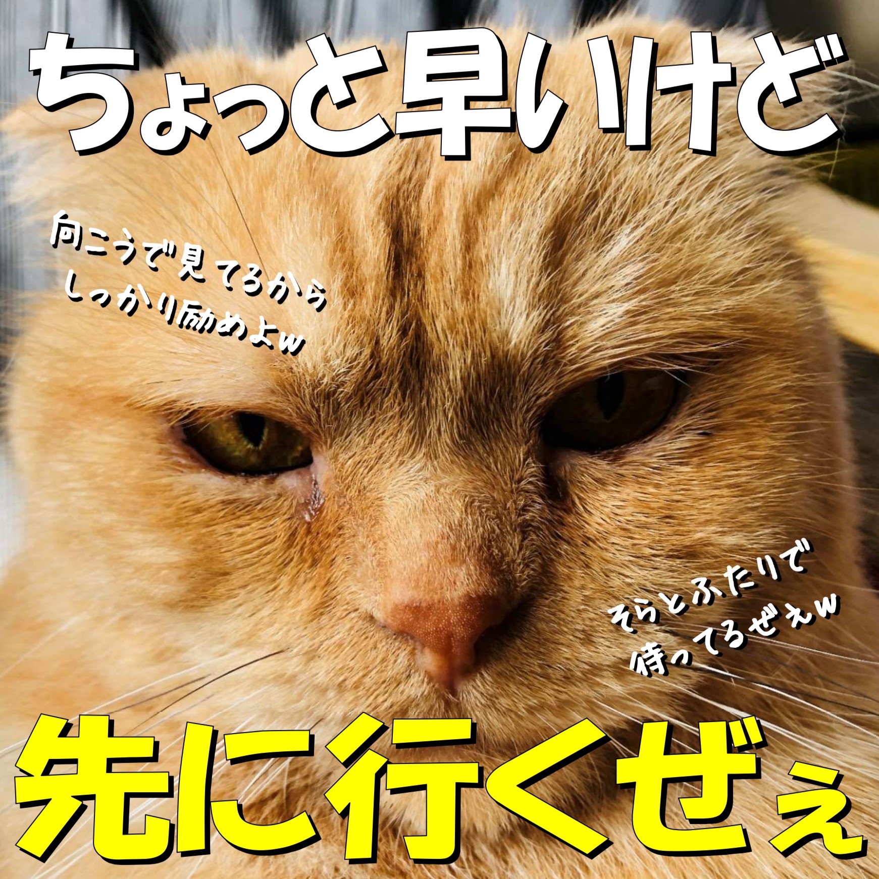 ■人事異動のお知らせ■