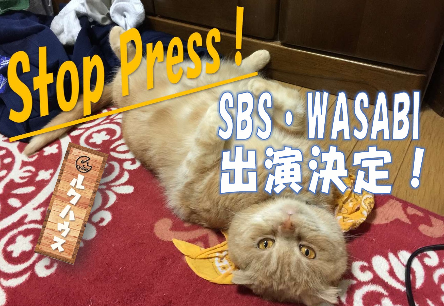 ■StopPress！■SBSラジオ「WASABI」店舗紹介コーナー出演決定！