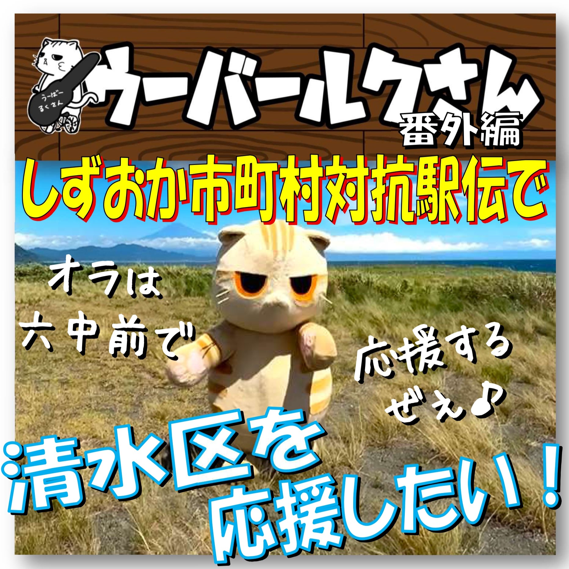 ■清水区を応援したい！■　ウーバールクさん番外編「第26回しずおか市町村対抗駅伝」