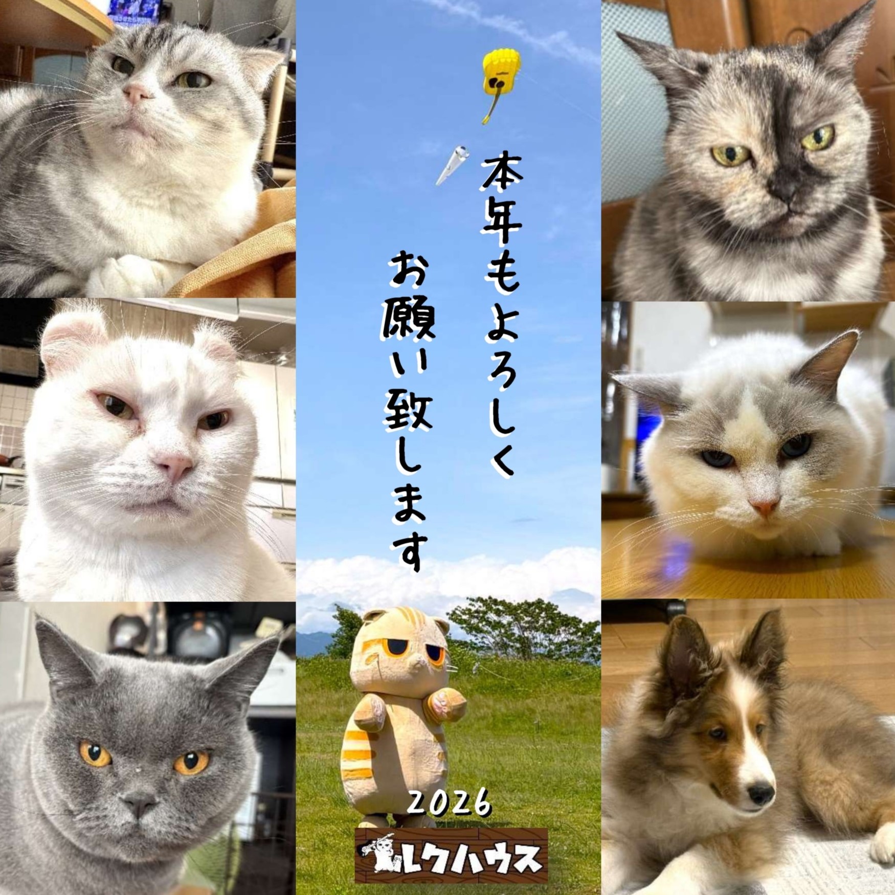■本年もよろしくお願い致します■