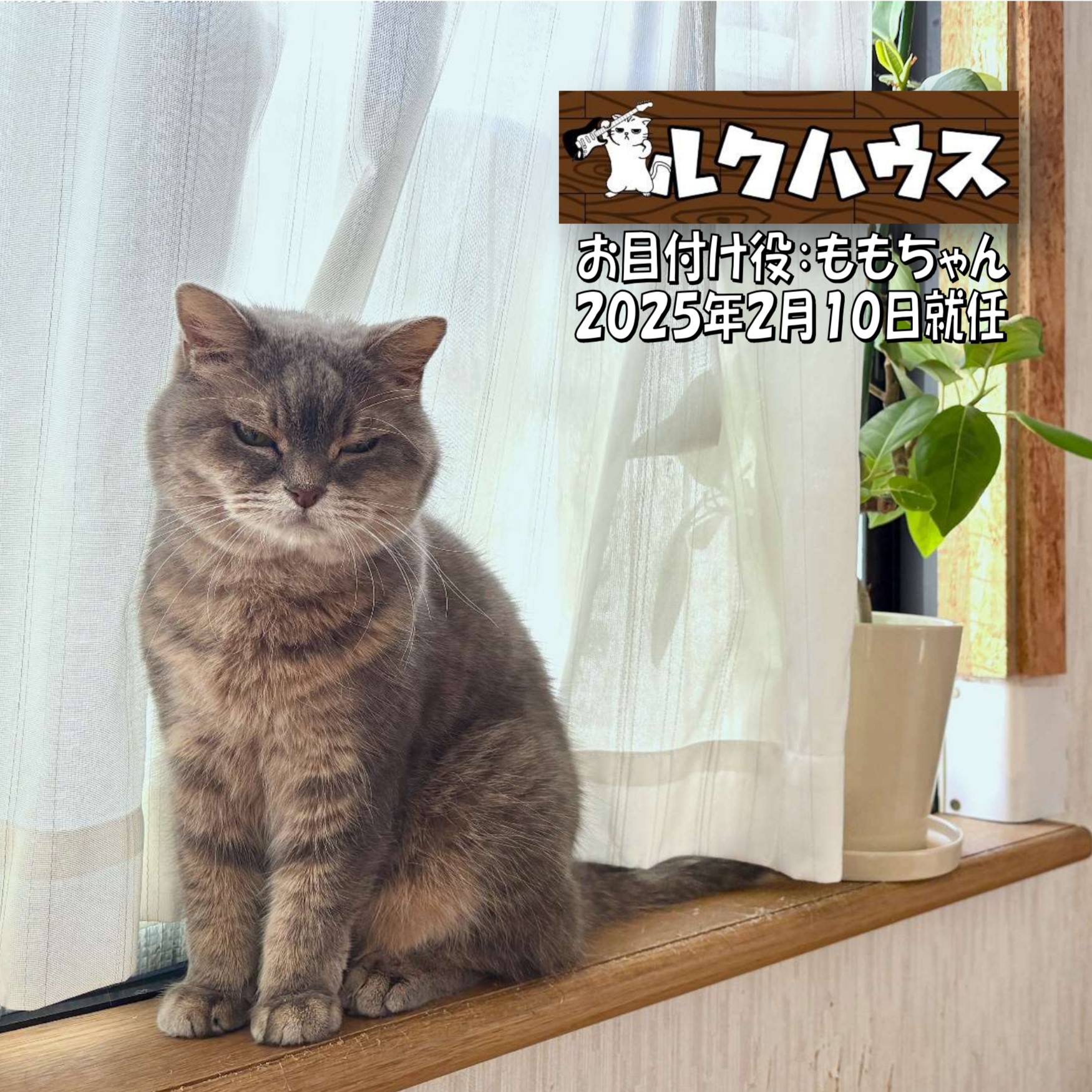 ■お目付け役1周年■　ももちゃん