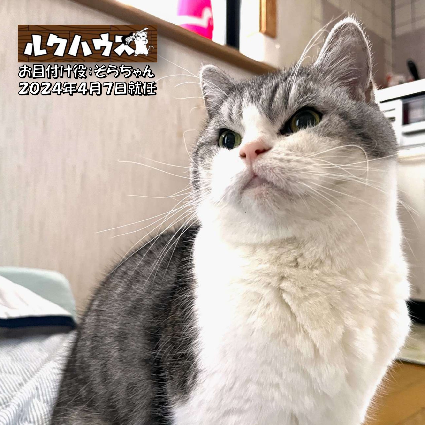 ■お目付け役2周年■　そらちゃん