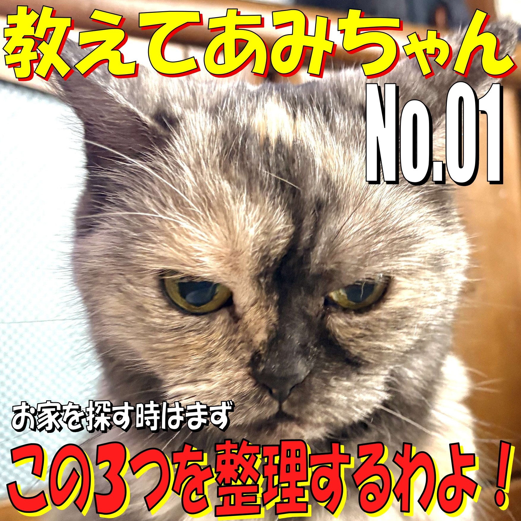 ■教えてあみちゃんNo.01■　お家を探す時はまずこの3つを整理するわよ！　