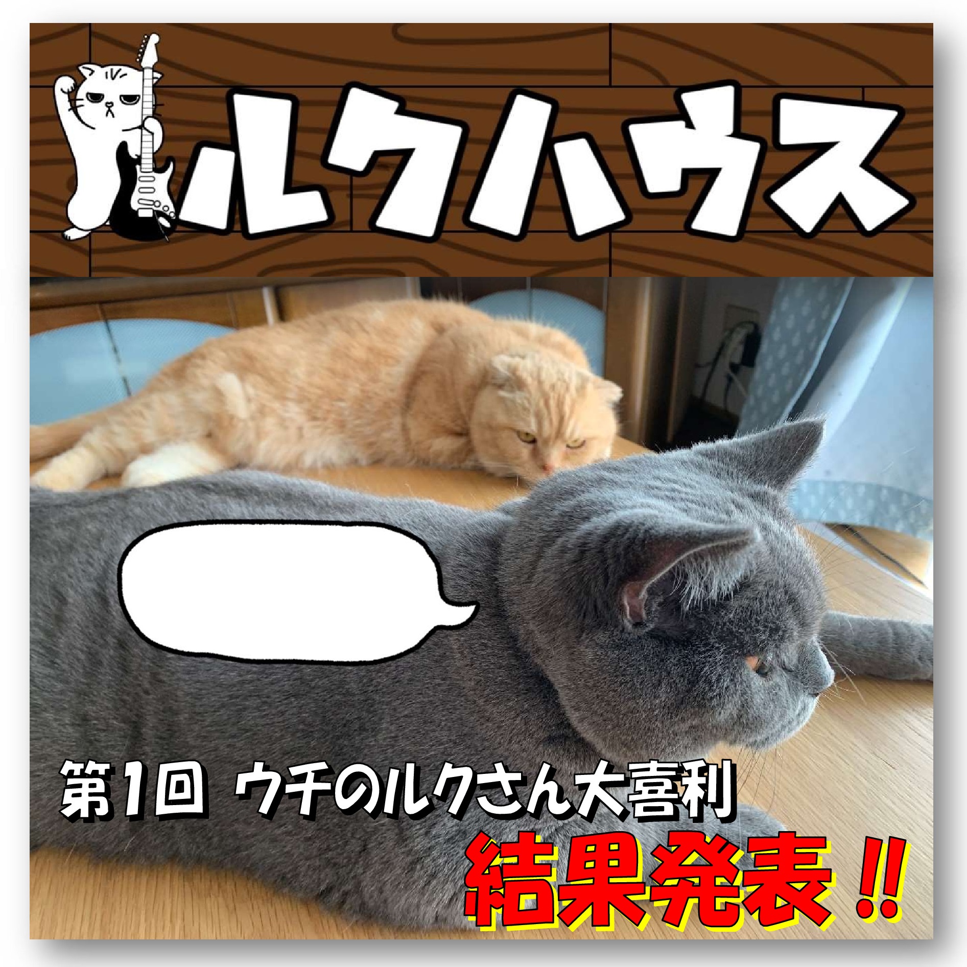 ■結果発表■　第1回ウチのルクさん大喜利